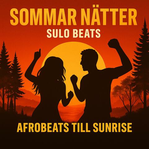 Sommar Nätter album art