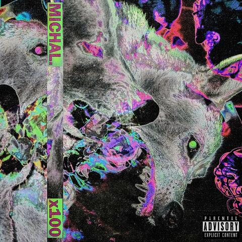 x100 album art