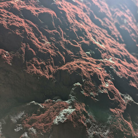 Move Your Body album art