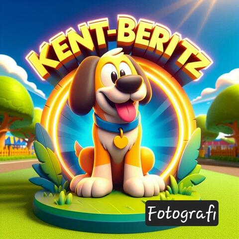 Fotografi album art