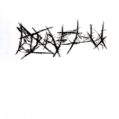 birdflü album art