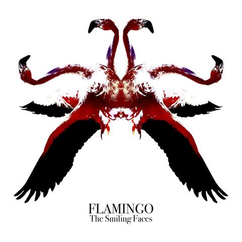Flamingo album art
