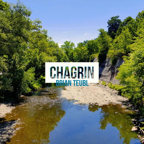 Chagrin album art