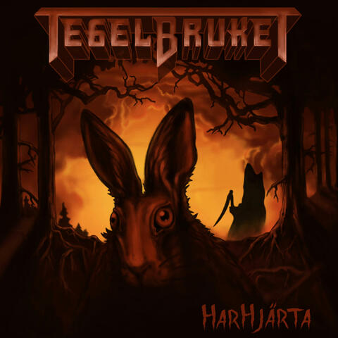 Harhjärta (2011) album art