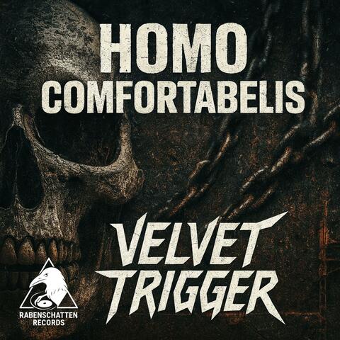 Homo Comfortabelis album art