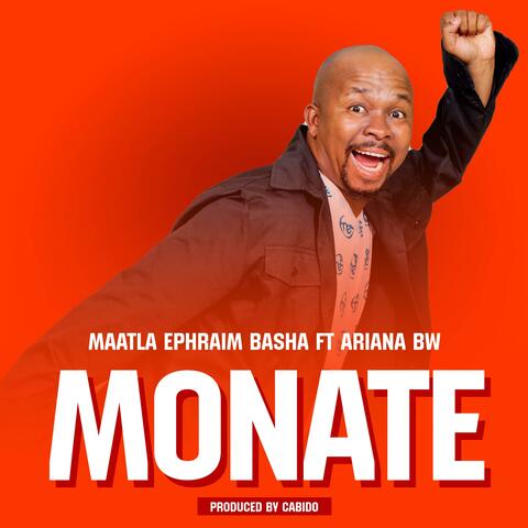 MONATE album art