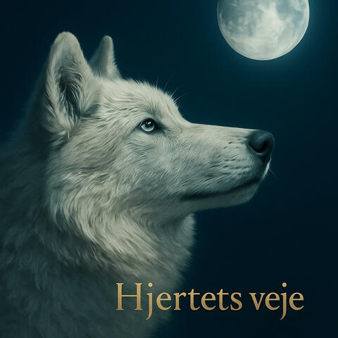 Hjertets veje album art