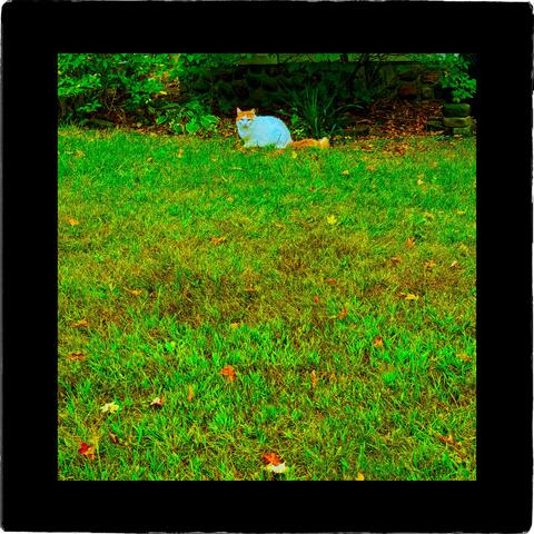 Sightings album art