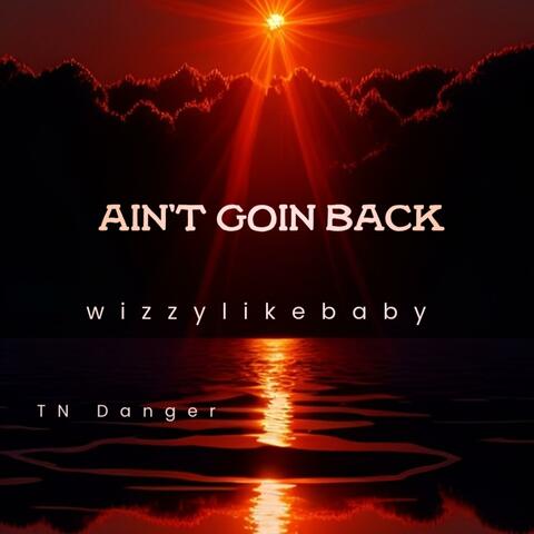 AIN'T GOIN BACK (feat. TN Danger) album art