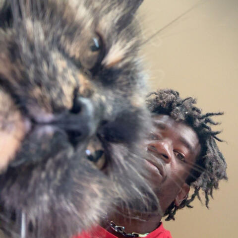 FAK3 album art