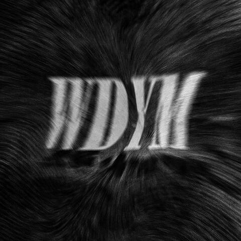 WDYM album art