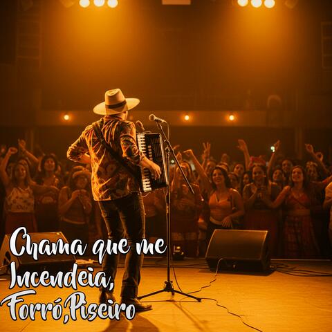 Chama que me Incendeia,Forró,Piseiro album art