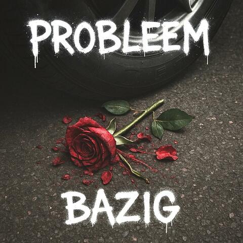 Probleem album art