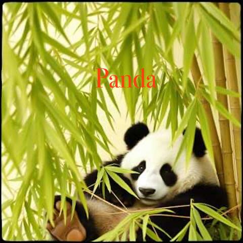 Panda album art