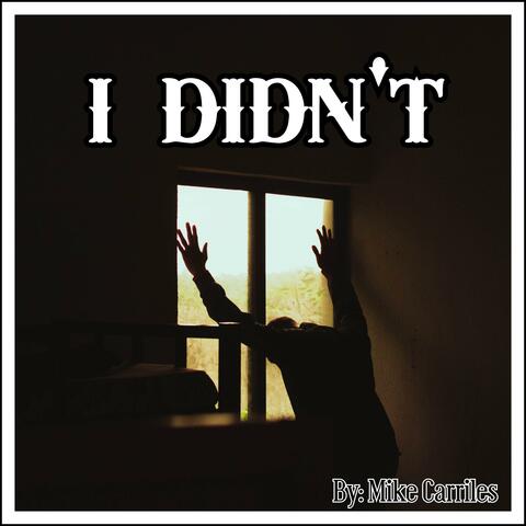 I Didn't album art