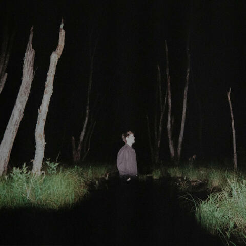 floods album art