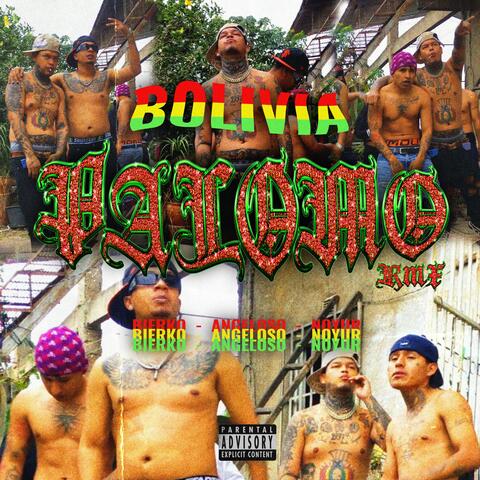 Palomo (feat. Angeloso & Noyur) album art