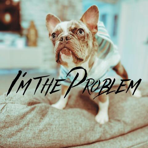 I'm The Problem album art