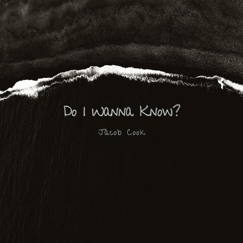 Do I Wanna Know? album art
