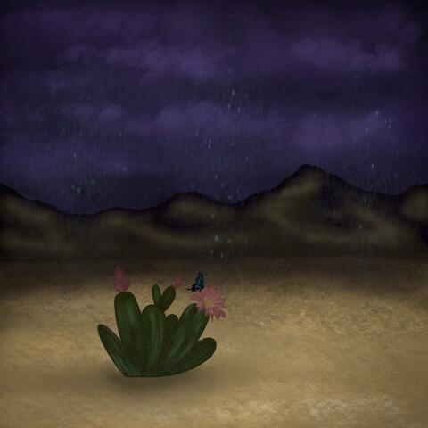 Cactus Flower album art