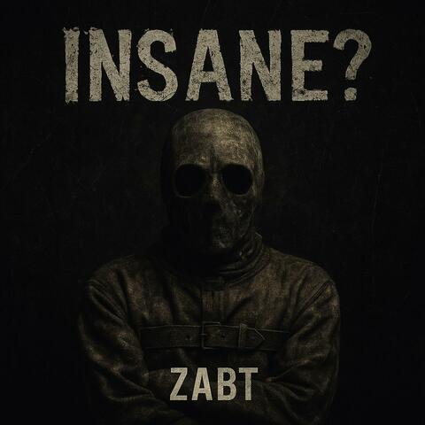 Insane? album art