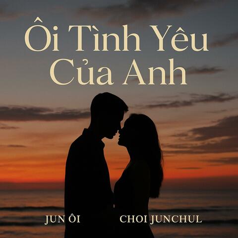 Ôi Tình Yêu Của Anh album art