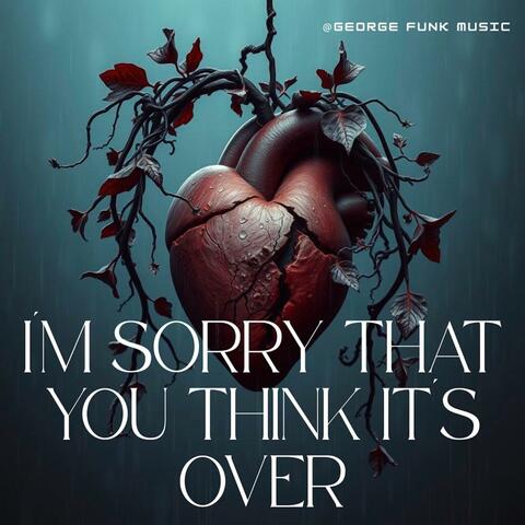 I'm Sorry That You Think It's Over album art