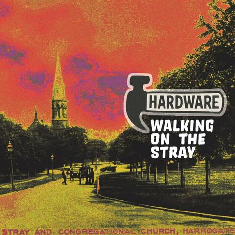 Walking on the Stray album art