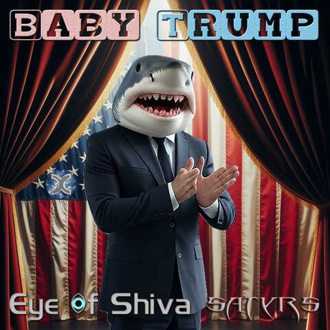 Baby Trump album art