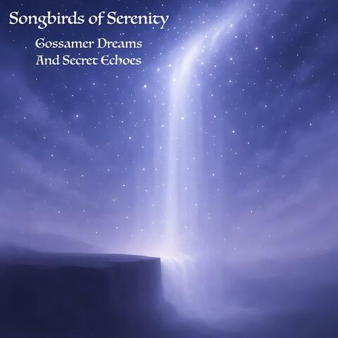 Gossamer Dreams And Secret Echoes album art