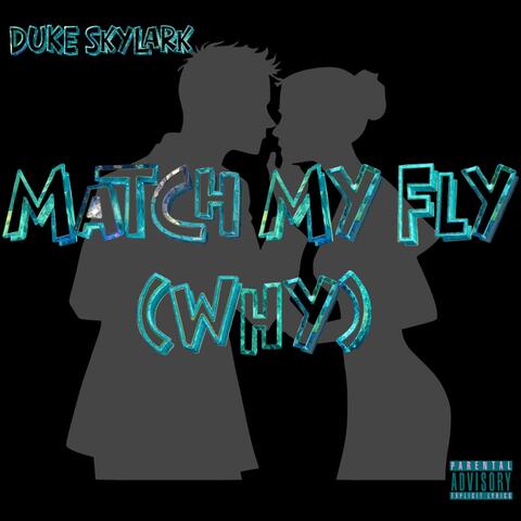 MATCH MY FLY (WHY) album art