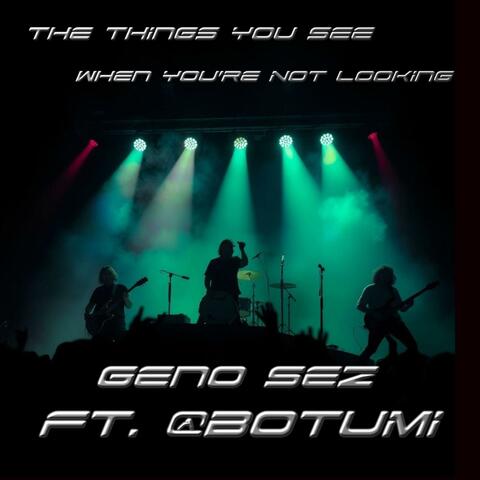 The Things You See When You're Not Looking (feat. @BOTumi) album art