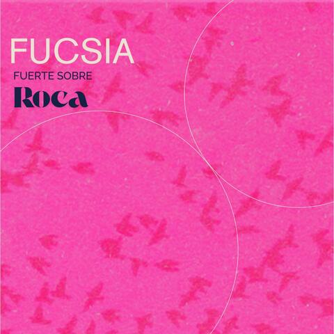 FUCSIA album art