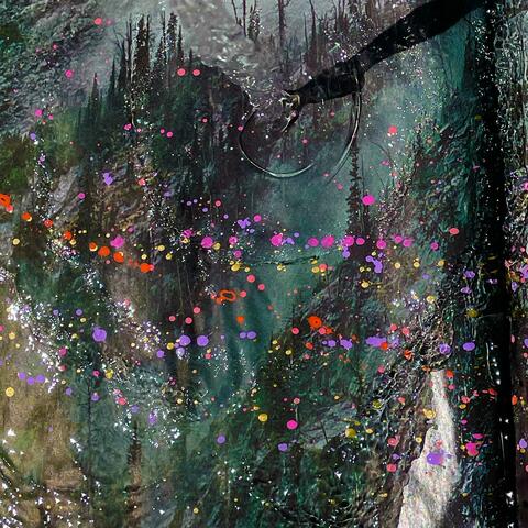 under the trees by the water album art