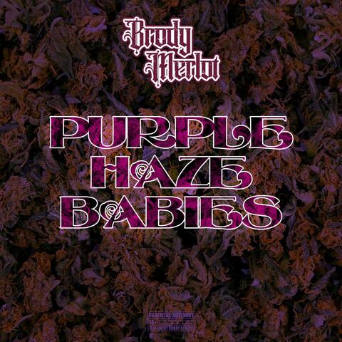 PURPLE HAZE BABIES album art