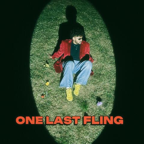 One Last Fling album art