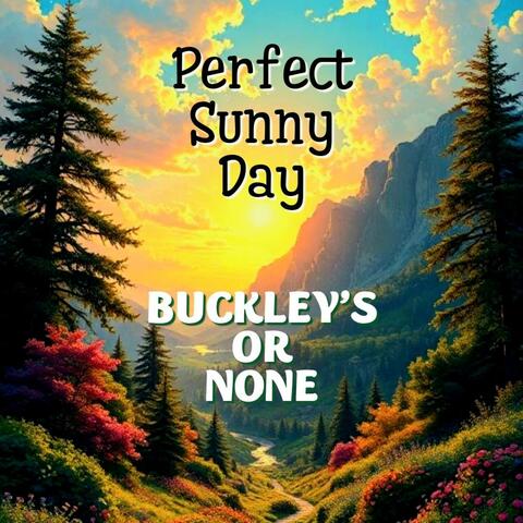 Perfect Sunny Day album art