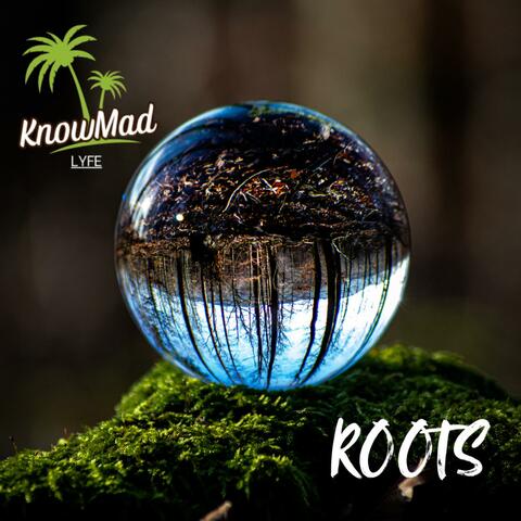 Roots album art