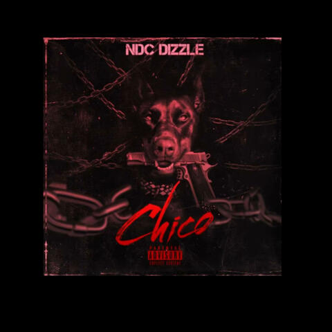 Chico album art