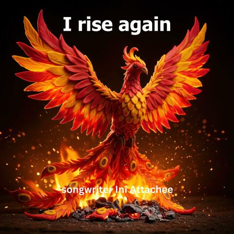 I rise again album art