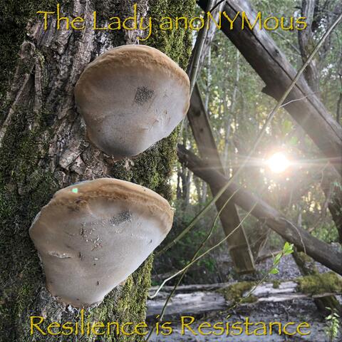 Resilience is Resistance album art