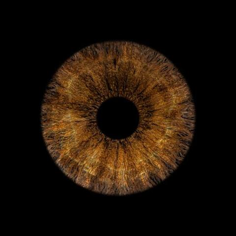 Kahve Gözlüm album art