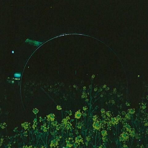 WIRED DUALITY album art