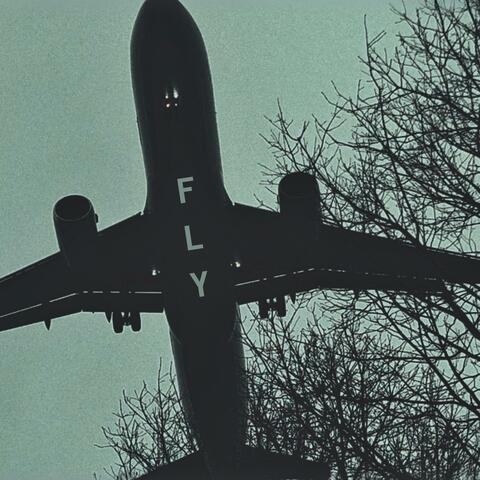 Fly album art