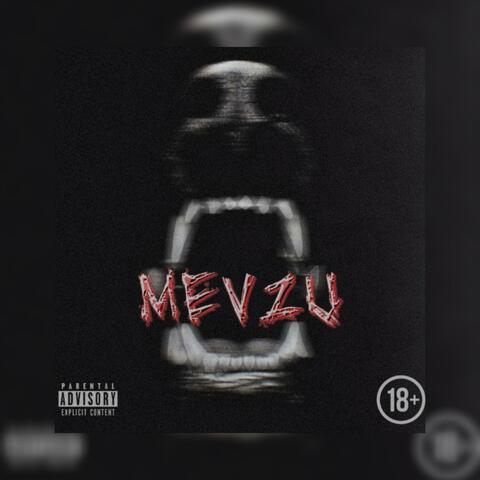 MEVZU (feat. TETSU) album art