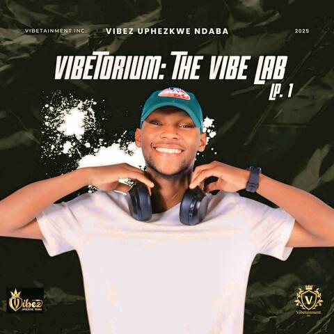 Vibetorium: The Vibe Lab LP1 album art
