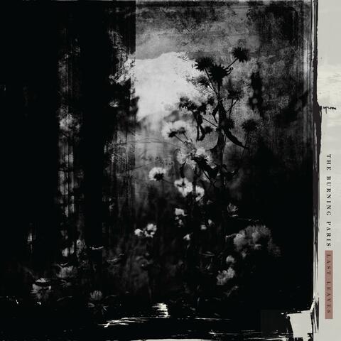 Last Leaves album art