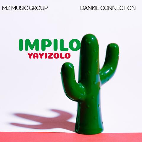 Impilo Yayizolo album art