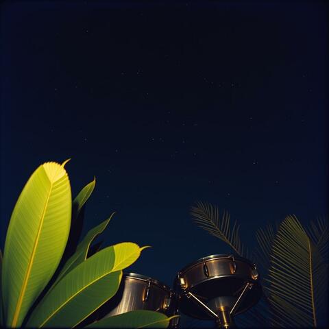 Midnight Breeze album art