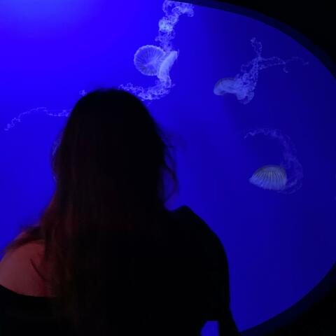 dreaming bout you album art